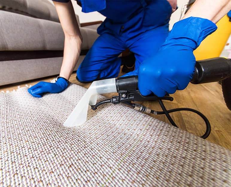 Carpet Cleaning